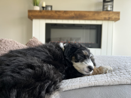 Photo from customer review