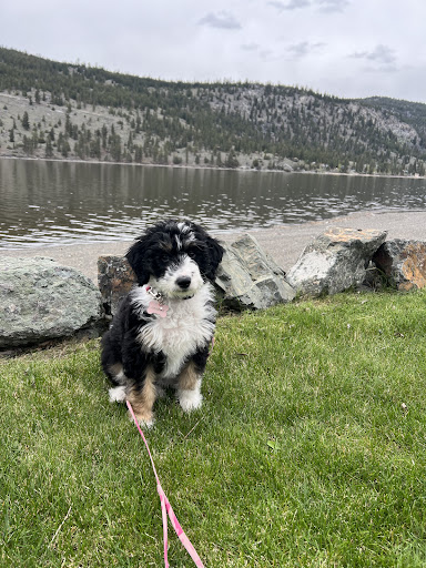 Photo from customer review