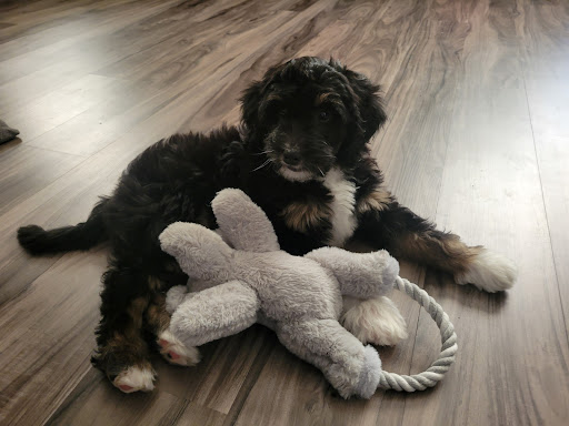 Photo from customer review