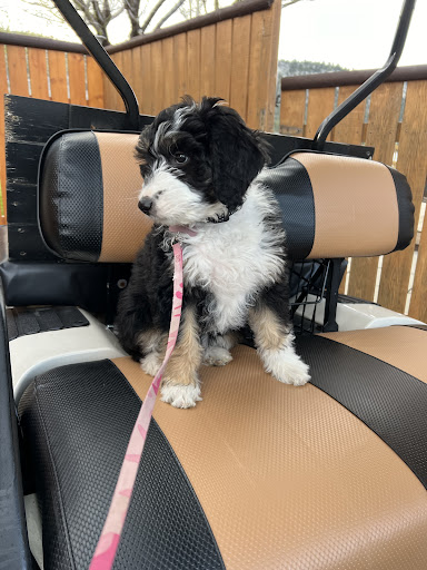 Photo from customer review