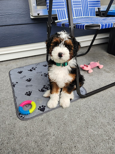 Photo from customer review