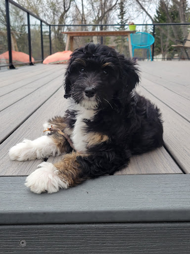 Photo from customer review