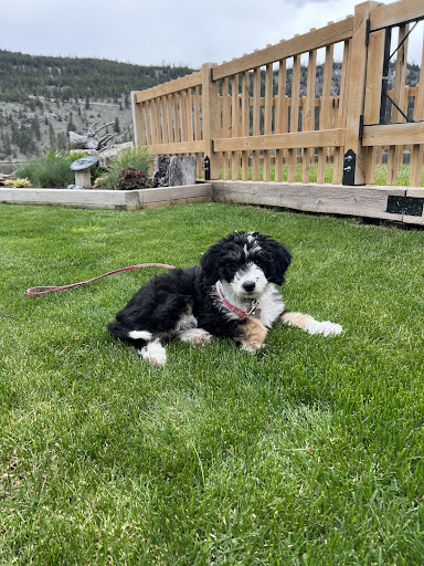 Photo from customer review